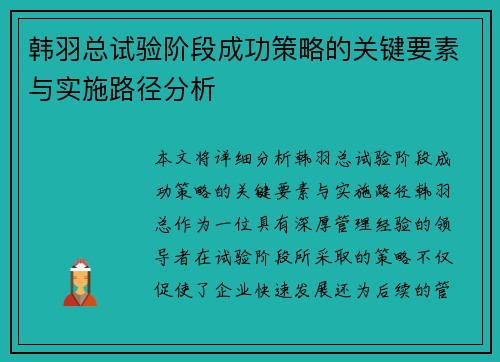 韩羽总试验阶段成功策略的关键要素与实施路径分析
