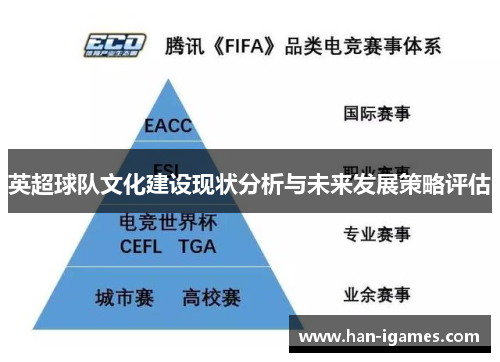 英超球队文化建设现状分析与未来发展策略评估