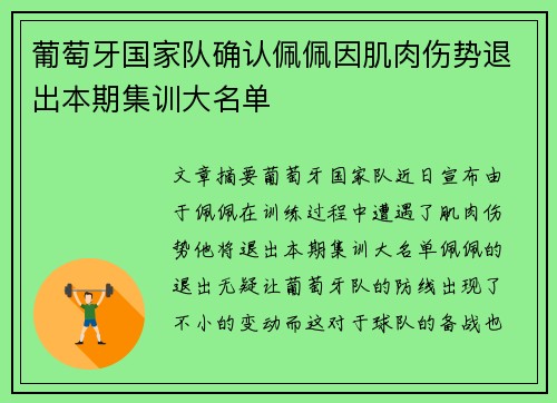 葡萄牙国家队确认佩佩因肌肉伤势退出本期集训大名单